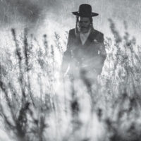 TIFF 2016: Filmele româneşti şi restul